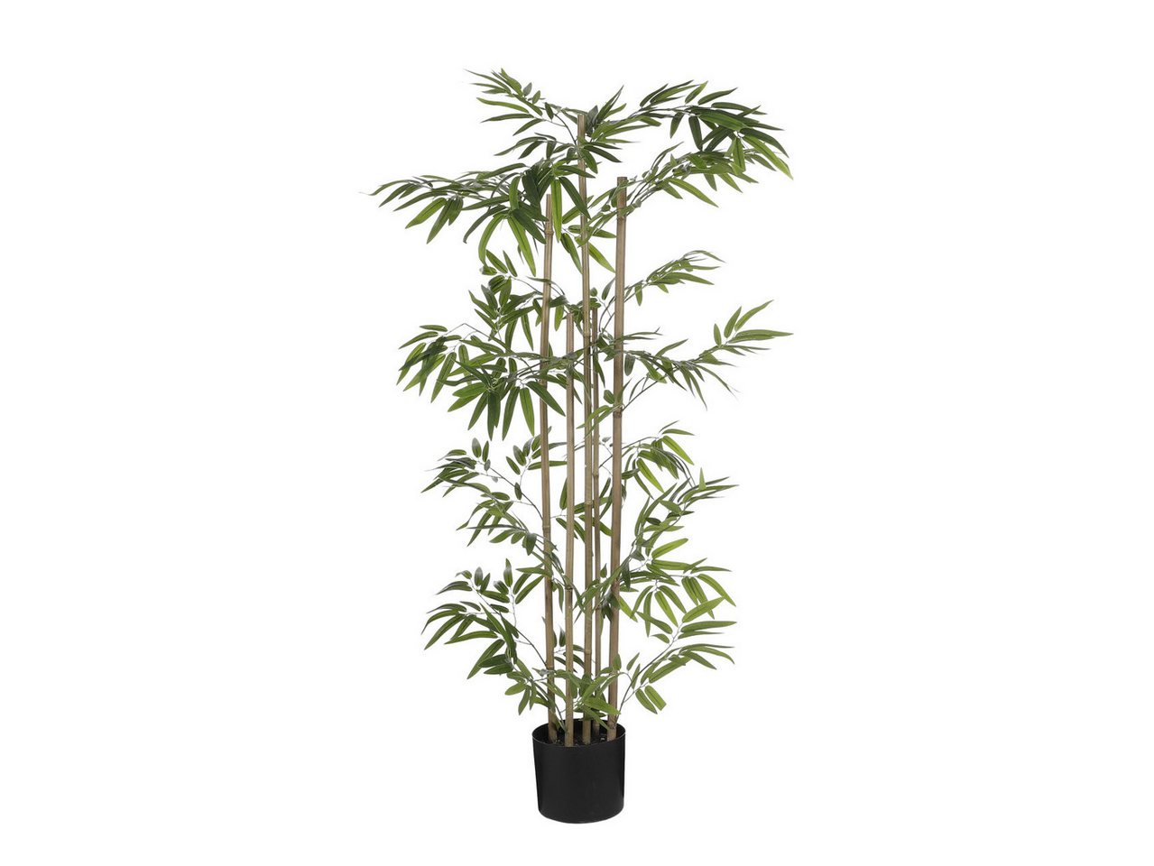 Kunstpflanze Mica Decorations Kunstpflanze Eucalyptus im Topf, Mica Decorations Kunstpflanze Mica Decorations Kunstpflanze Eucalyptus im Topf, Mica Decorations von Mica Decorations