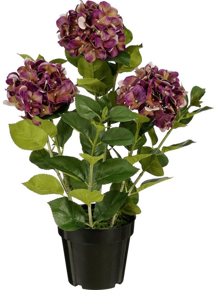 Kunstpflanze Mica Decorations Kunstpflanze Hortensie im Topf, Mica Decorations von Mica Decorations