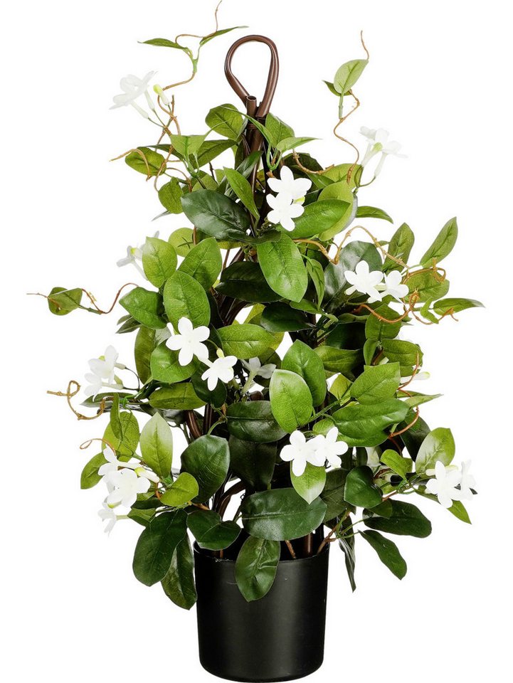 Kunstpflanze Mica Decorations Stephanotis im Topf Ø 30 x 60 cm, Mica Decorations Kunstpflanze Mica Decorations Stephanotis im Topf Ø 30 x 60 cm, Mica Decorations von Mica Decorations