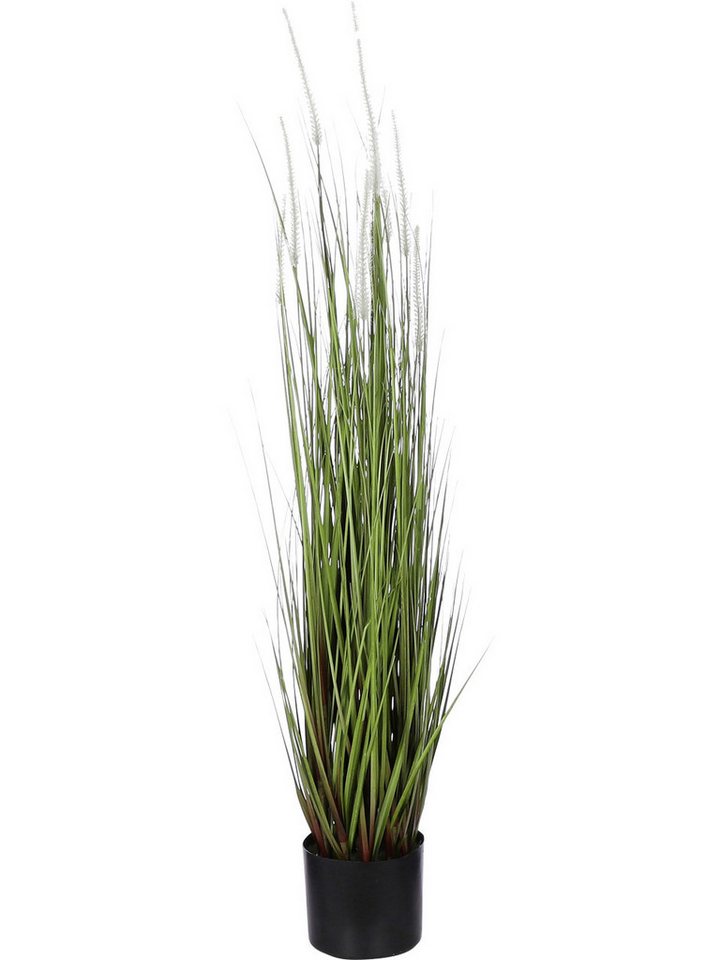 Kunstpflanze Mica Dogtail Gras grün in Topf 115 x 35 cm, Mica Decorations von Mica Decorations