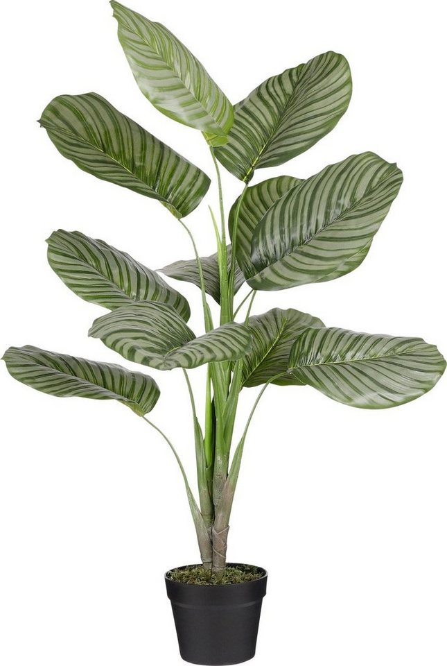 Kunstpflanze Mica Kunstpflanze Calathea orbifolia im Topf grün, Mica Decorations von Mica Decorations