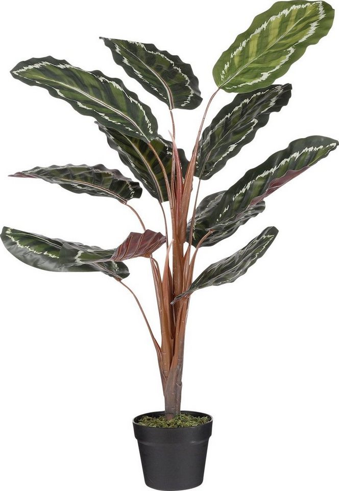 Kunstpflanze Mica Kunstpflanze Calathea roseopicta im Topf grün, Mica Decorations von Mica Decorations