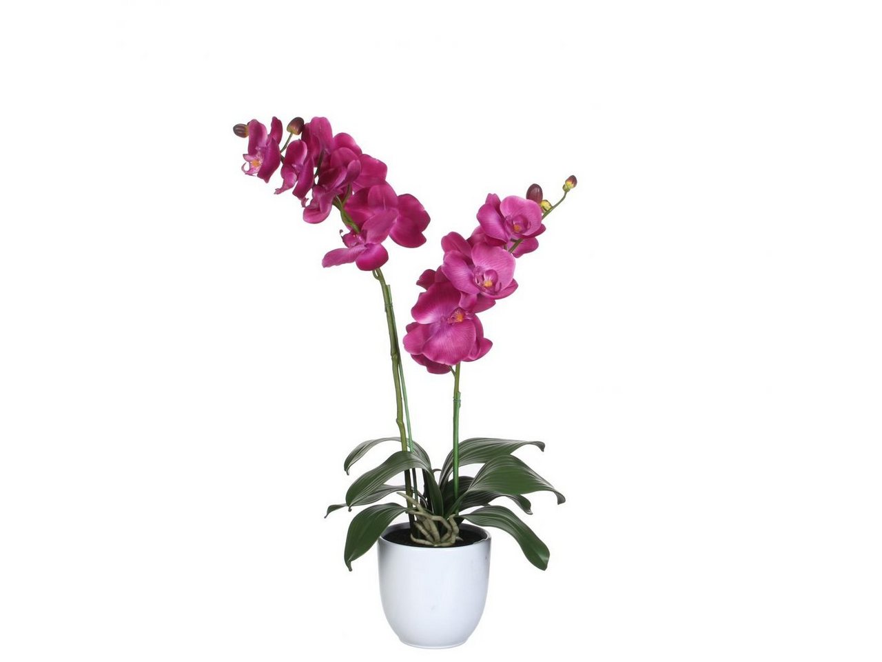 Kunstpflanze Mica Kunstpflanze Phalaenopsis im Topf violett, 66, Mica Decorations von Mica Decorations