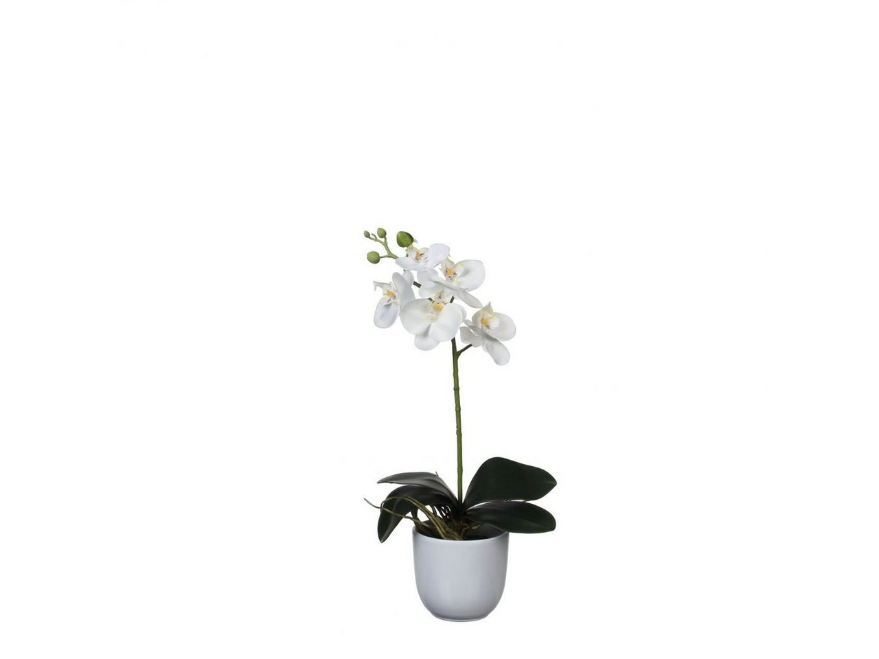 Kunstpflanze Mica Kunstpflanze Phalaenopsis im Topf weiß, 48, Mica Decorations von Mica Decorations