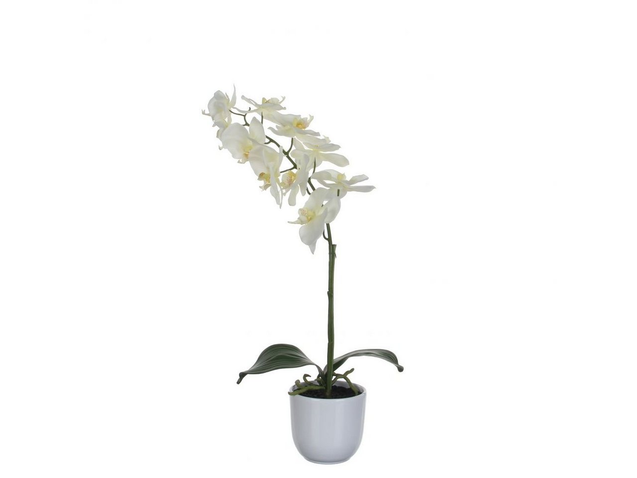 Kunstpflanze Mica Kunstpflanze Phalaenopsis im Topf weiß, 60 x, Mica Decorations von Mica Decorations