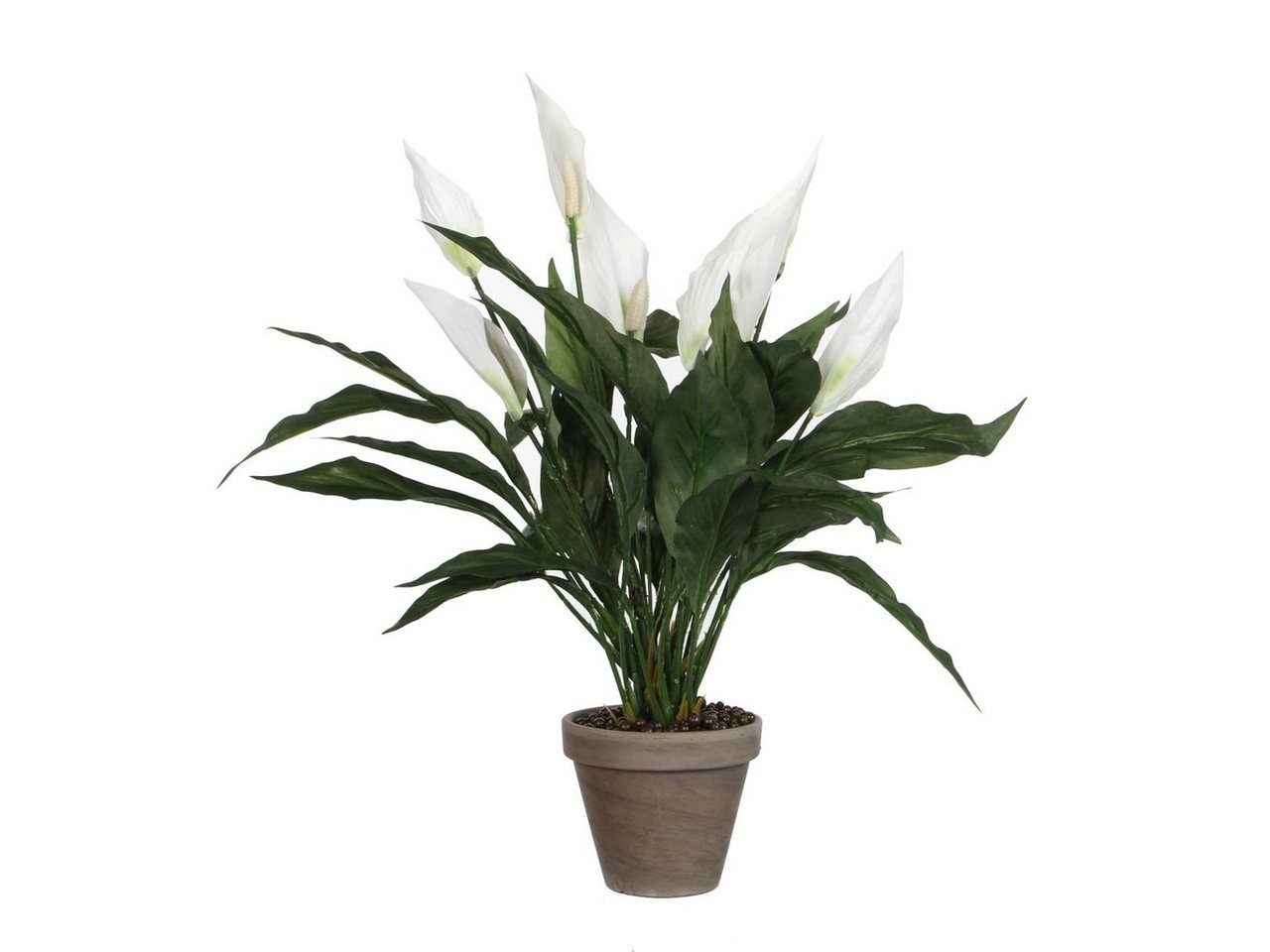 Kunstpflanze Mica Kunstpflanze Spathiphyllum weiß im Topf 11,5, Mica Decorations von Mica Decorations