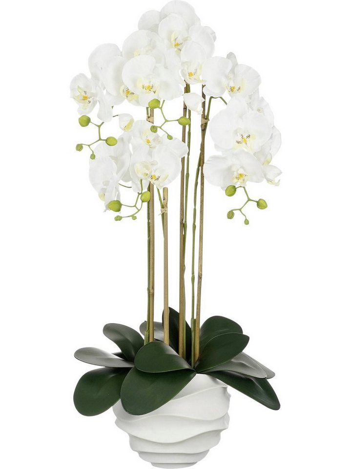 Kunstpflanze Mica Phalaenopsis im Topf weiß Polyester 82 cm, Mica Decorations Kunstpflanze Mica Phalaenopsis im Topf weiß Polyester 82 cm, Mica Decorations von Mica Decorations