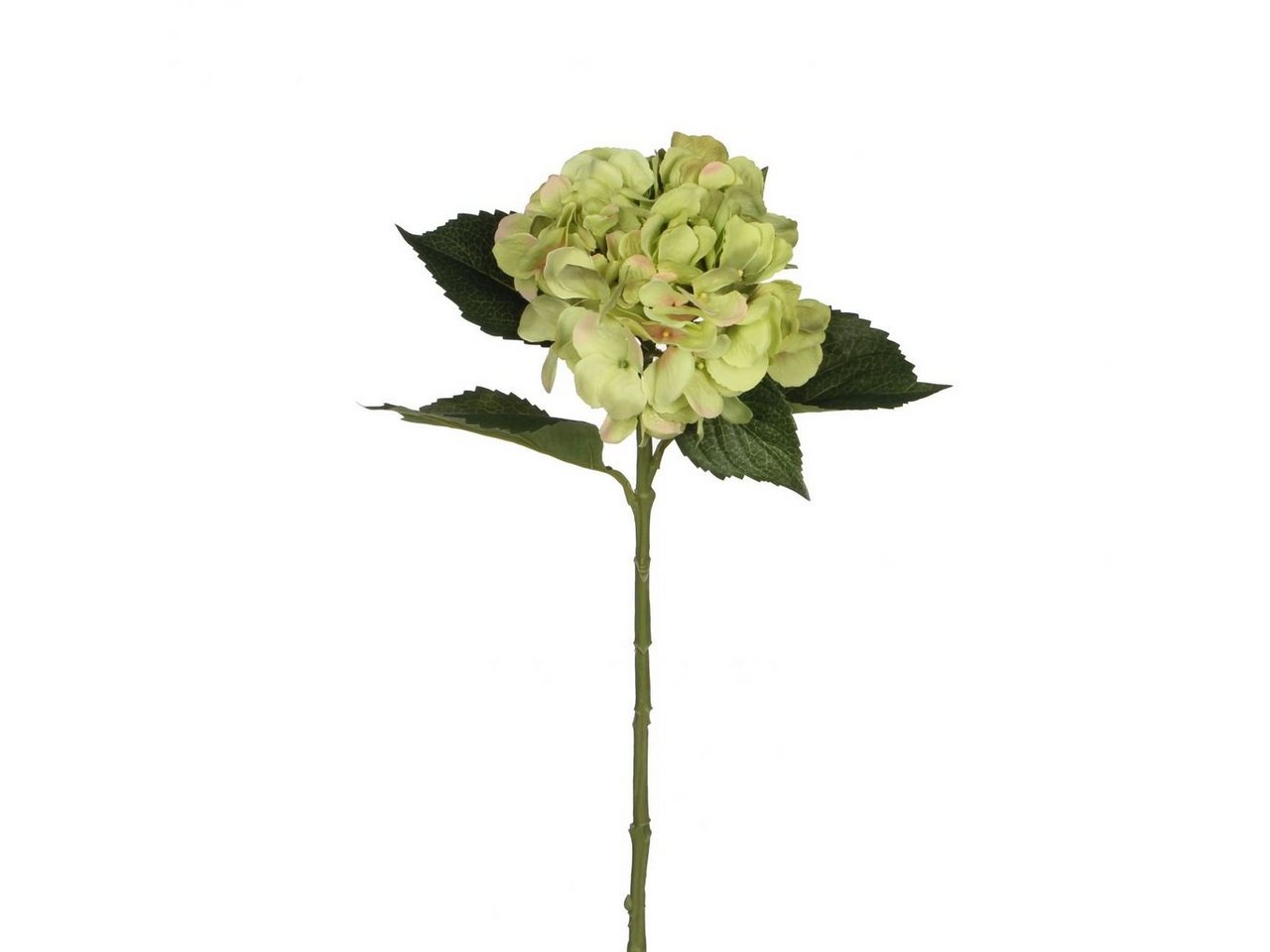 Kunstpflanze Mica künstliche Hortensie grün, 51 cm, Mica Decorations von Mica Decorations