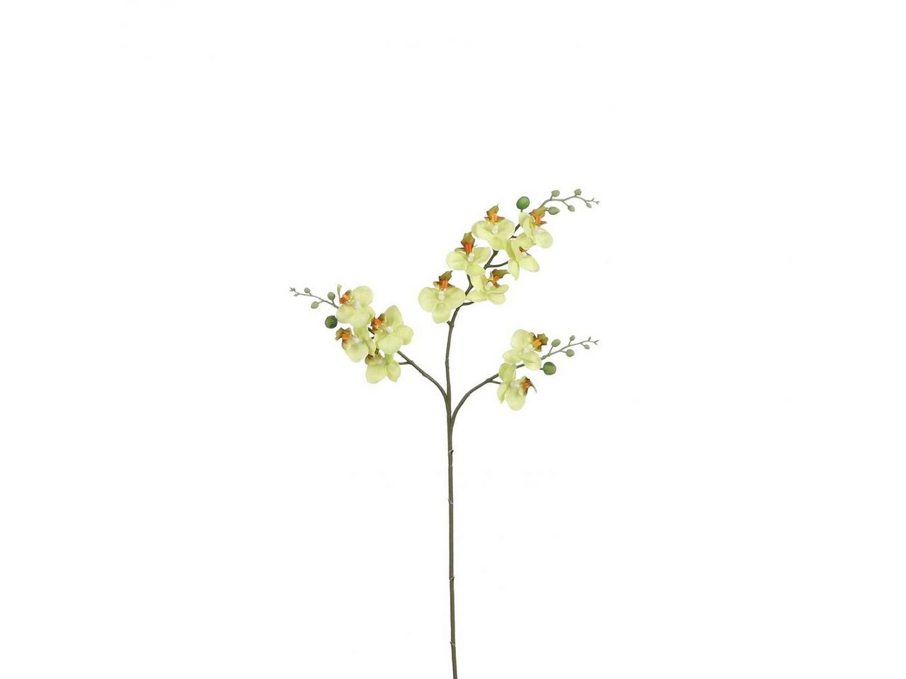 Kunstpflanze Mica künstliche Phalaenopsis grün, 75 cm, Mica Decorations von Mica Decorations