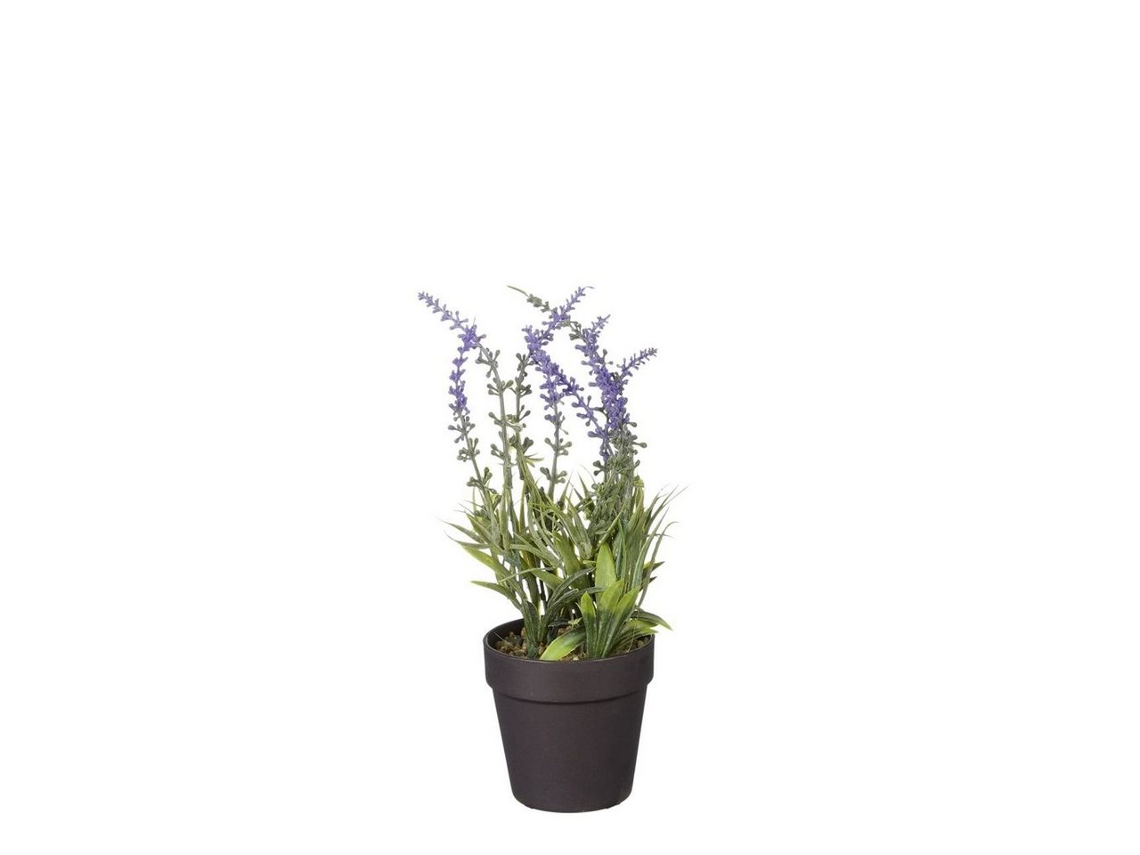 Kunstpflanze Mica künstlicher Lavendel im Topf violett 24 x 10, Mica Decorations von Mica Decorations