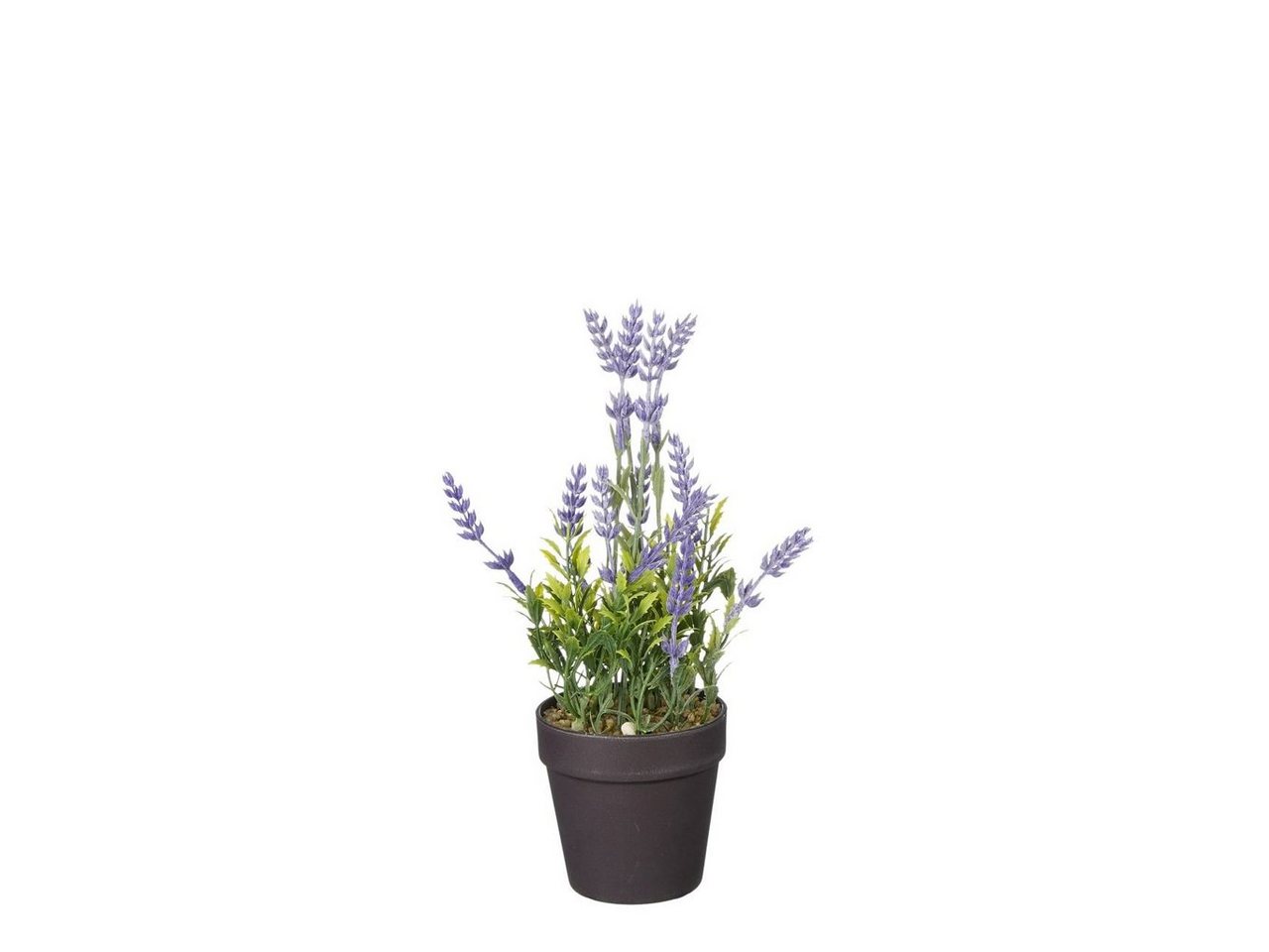 Kunstpflanze Mica künstlicher Lavendel im Topf violett 24 x 10, Mica Decorations von Mica Decorations