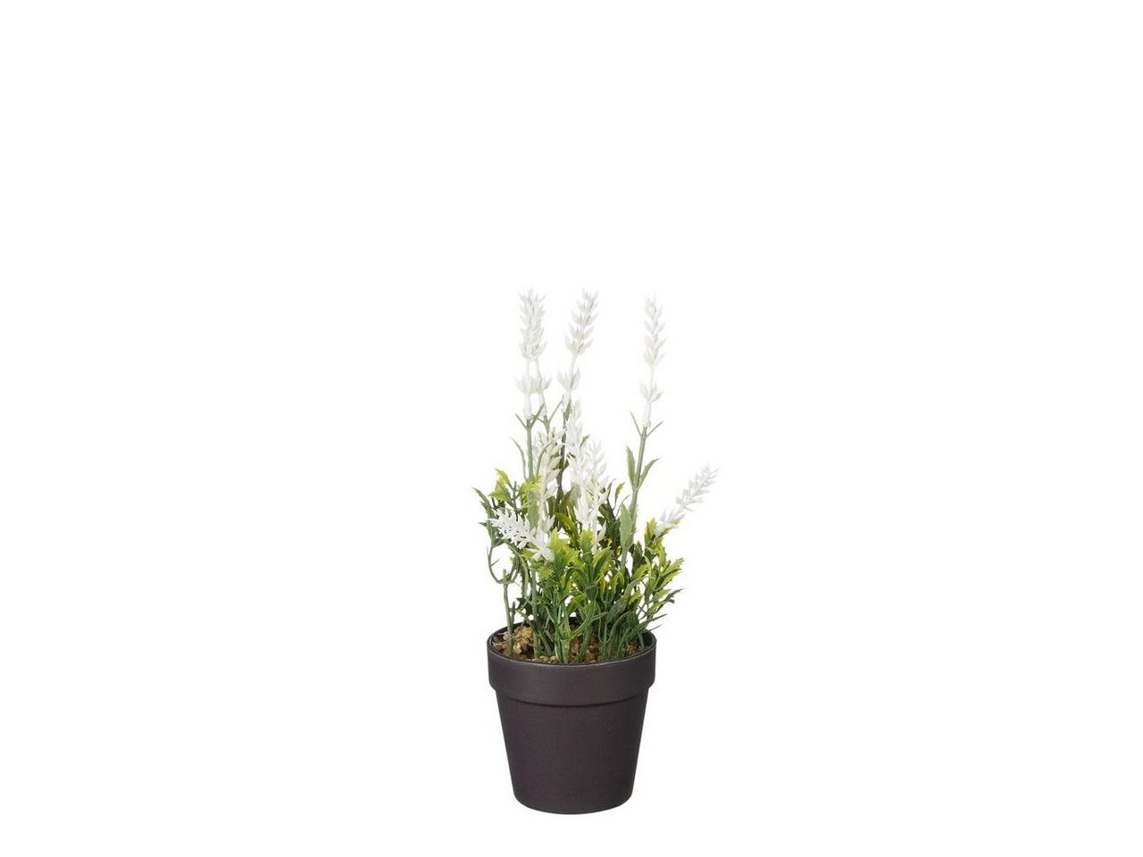 Kunstpflanze Mica künstlicher Lavendel im Topf weiß 24 x 10 cm, Mica Decorations von Mica Decorations
