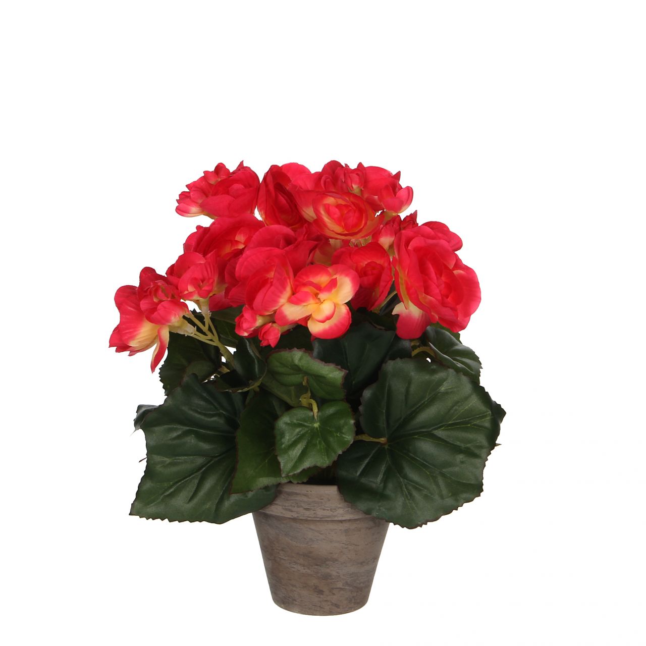 Mica Begonia im Topf dunkelrosa, 25 x 20 cm von Mica Decorations