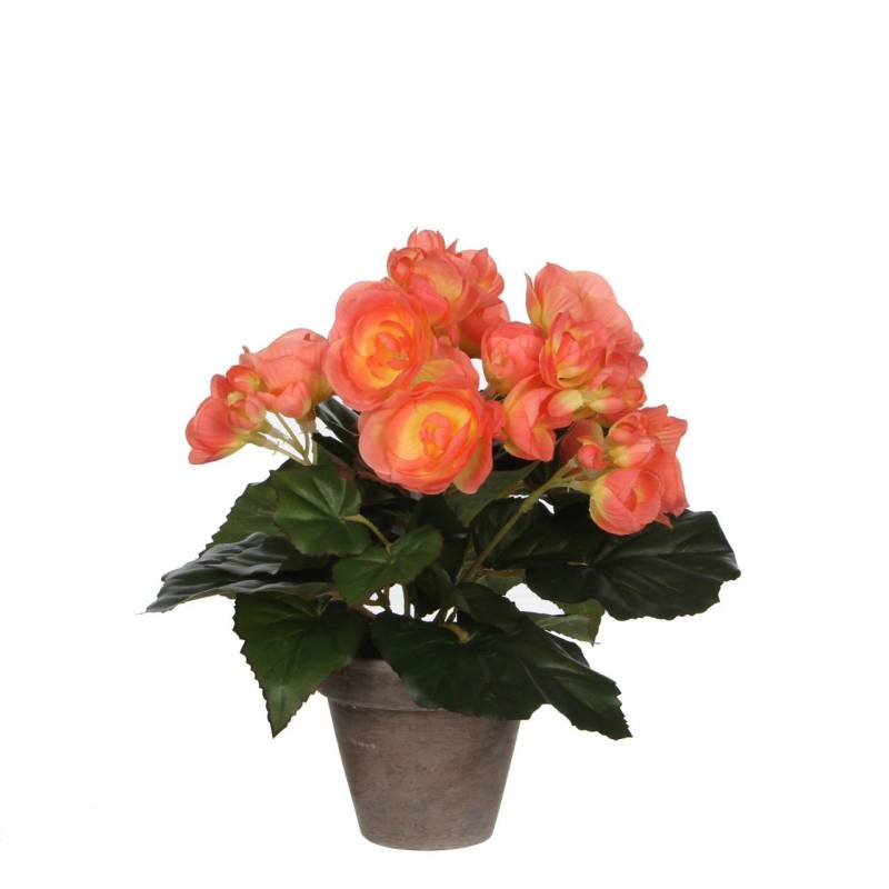 Mica Begonia im Topf lachs, 25 x 20 cm von Mica Decorations