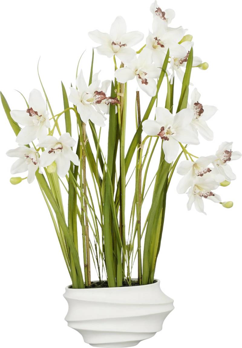 Mica Cymbidium im Topf creme 49 x 40 x 81 cm von Mica Decorations