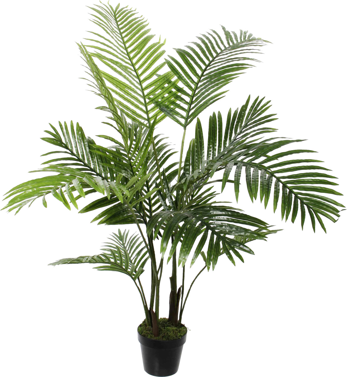 Mica Decorations Areca Palme im Topf Ø 60 x 120 cm grün von Mica Decorations