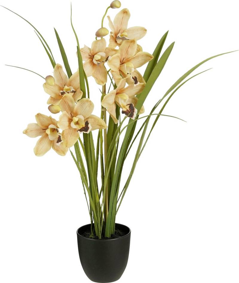 Mica Decorations Kunstpflanze Cymbidium im Topf pfirsich Ø 26 x 71 cm von Mica Decorations