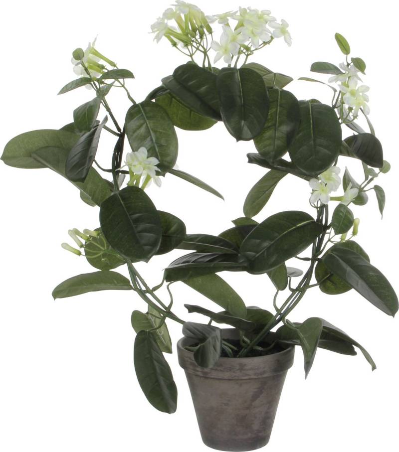 Mica Decorations Stephanotis in Topf polyester 50 x 40 cm weiß von Mica Decorations