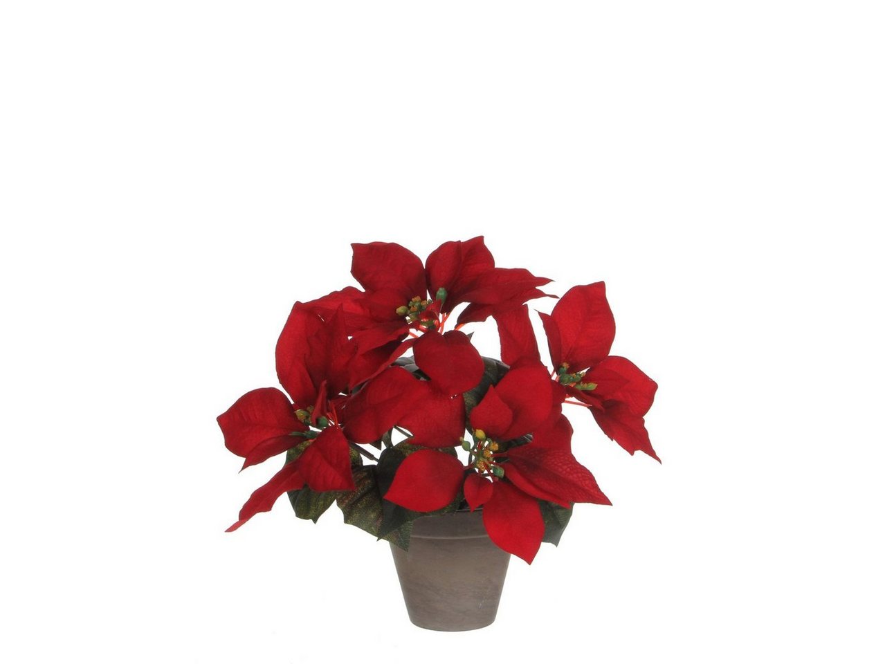 Mica Decorations Weihnachtsfigur Mica Weihnachtsstern rot im Topf 27 x 35 cm Mica Decorations Weihnachtsfigur Mica Weihnachtsstern rot im Topf 27 x 35 cm von Mica Decorations