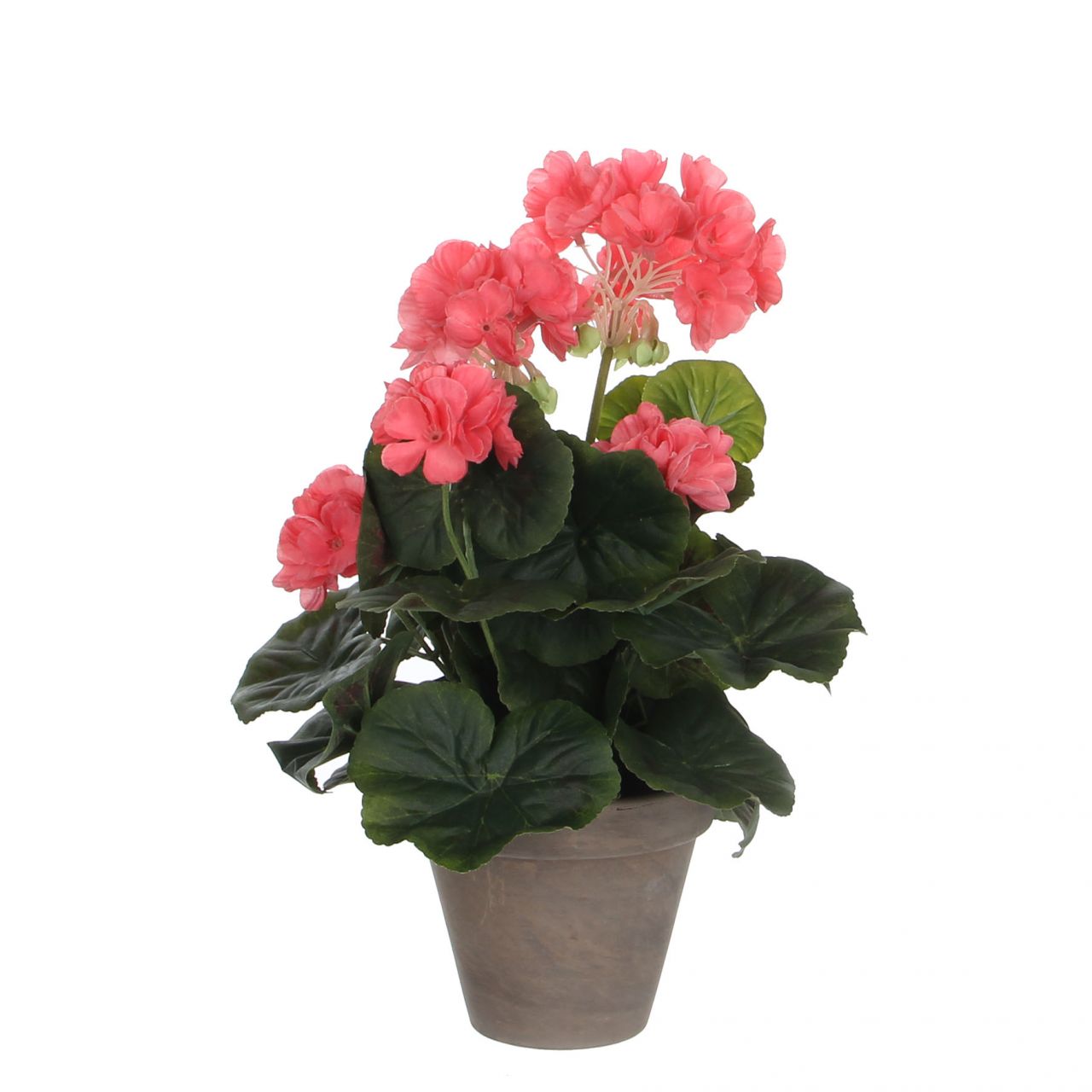 Mica Geranium im Topf lachs, 34 x 20 cm von Mica Decorations