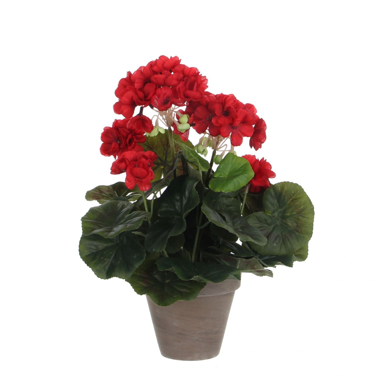 Mica Geranium im Topf rot, 34 x 20 cm von Mica Decorations