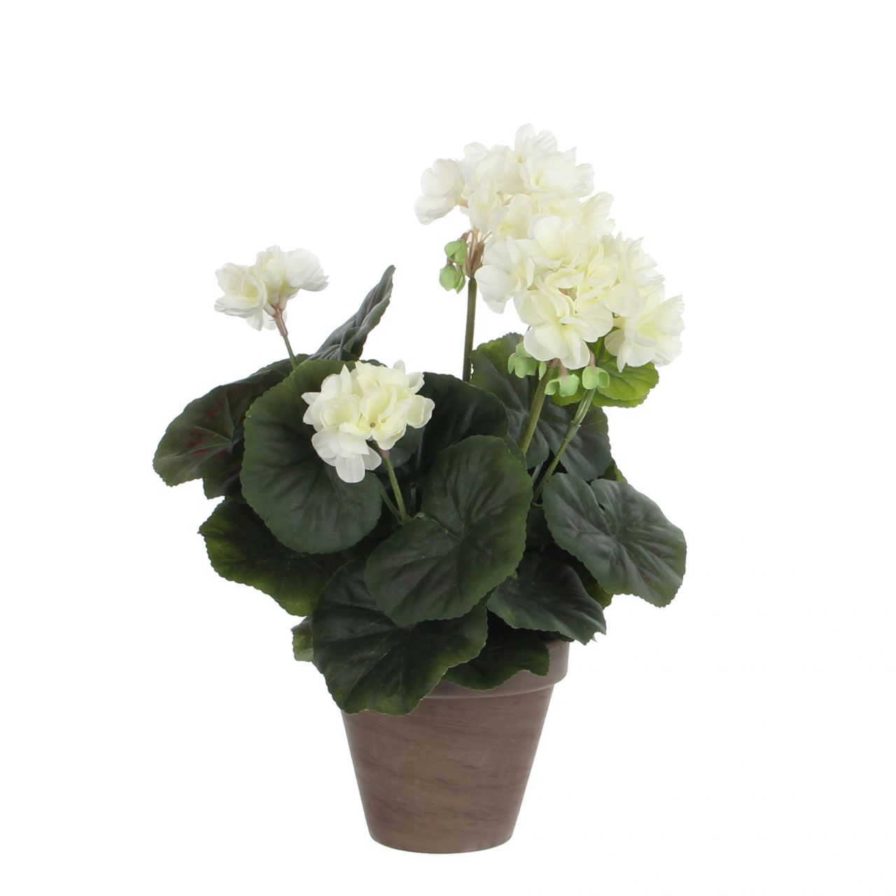 Mica Geranium im Topf creme, 34 x 20 cm von Mica Decorations