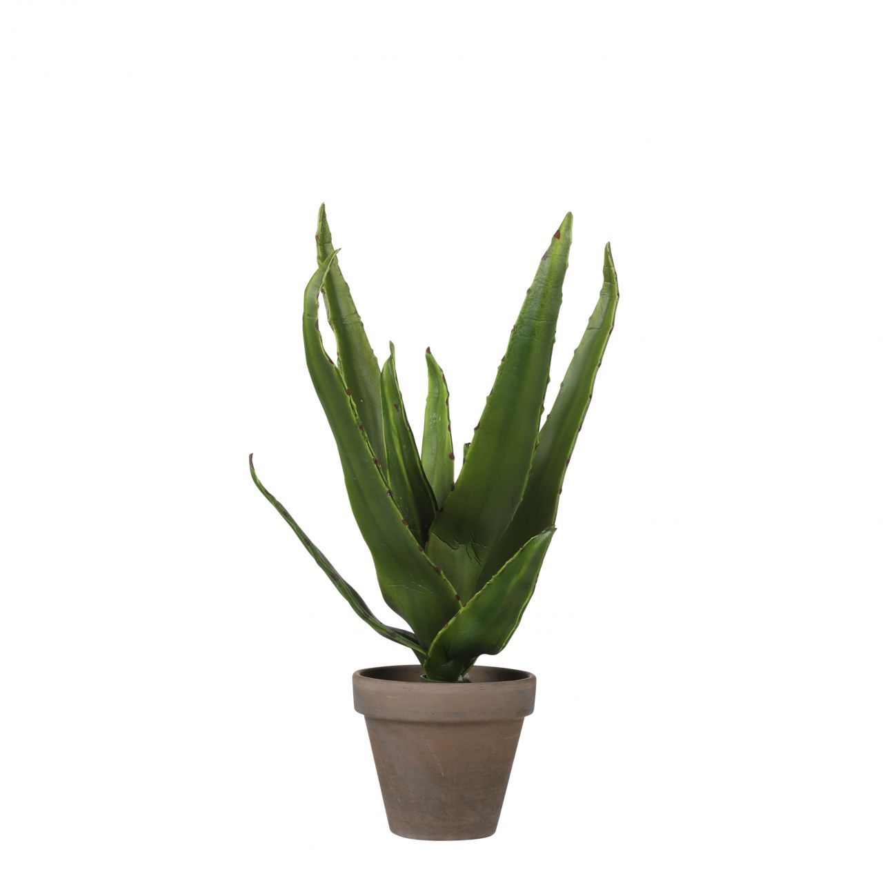 Mica Kunstpflanze Aloe Vera im Topf grün, 30 x 16 cm von Mica Decorations