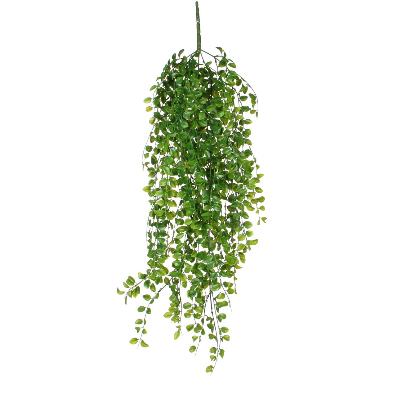Mica Kunstpflanze Ficus grün, 81 cm von Mica Decorations