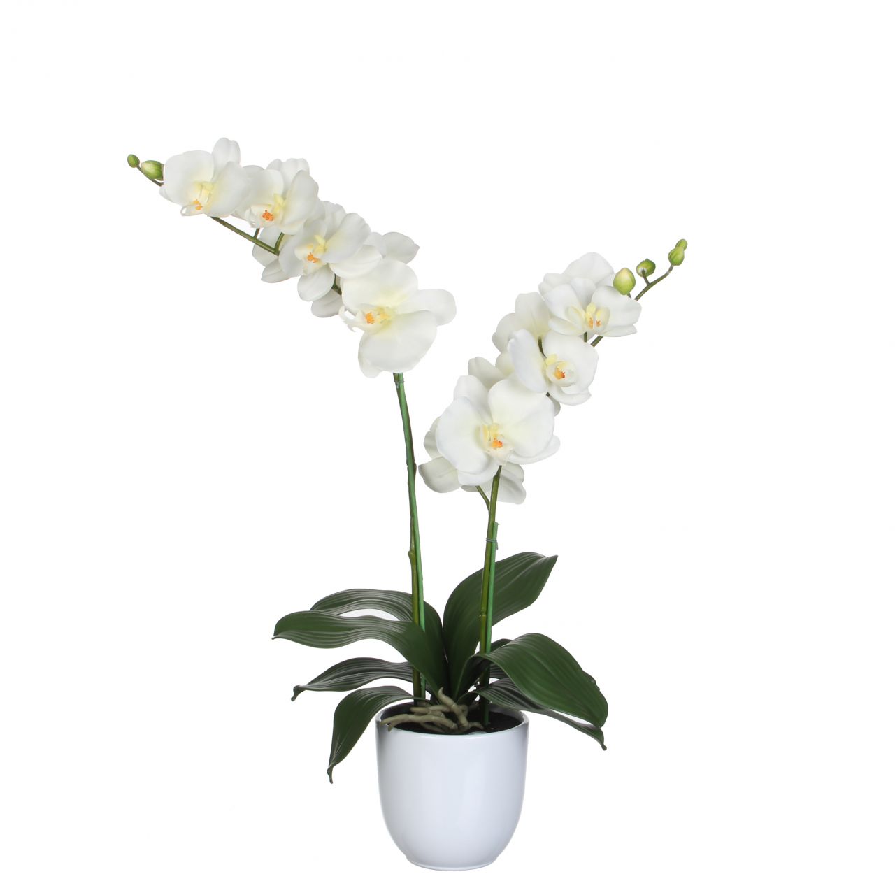 Mica Kunstpflanze Phalaenopsis im Topf creme, 66 x 38 cm von Mica Decorations