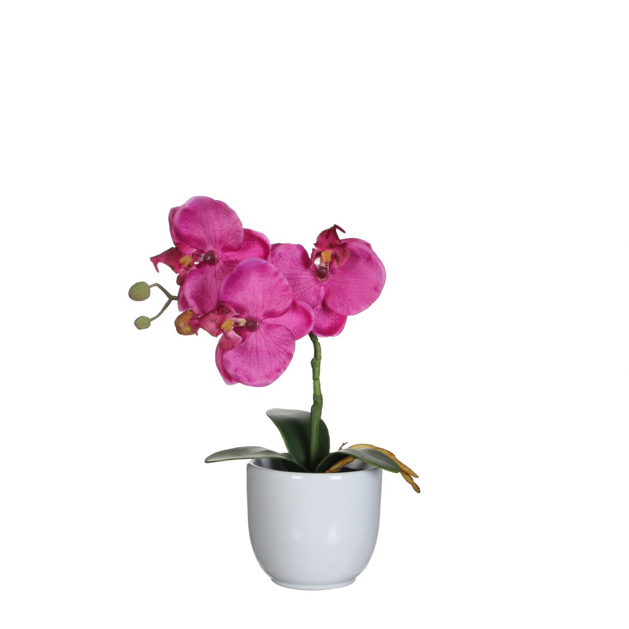 Mica Kunstpflanze Phalaenopsis im Topf violett, 26 x 12 cm von Mica Decorations