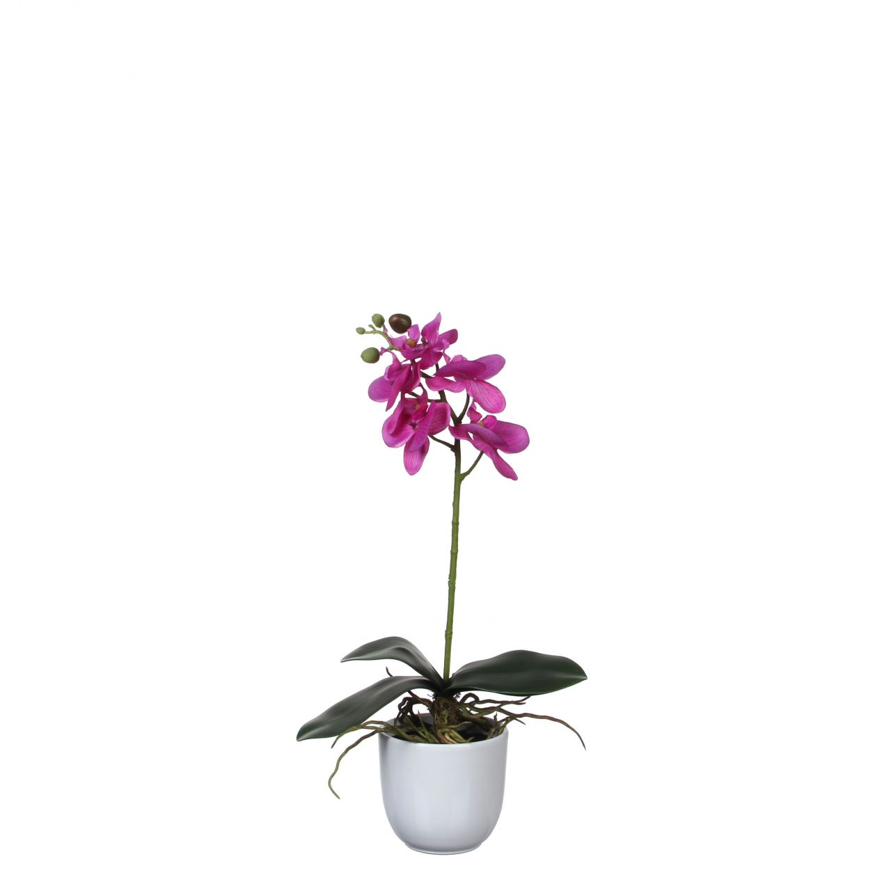 Mica Kunstpflanze Phalaenopsis im Topf violett, 48 x13 cm von Mica Decorations