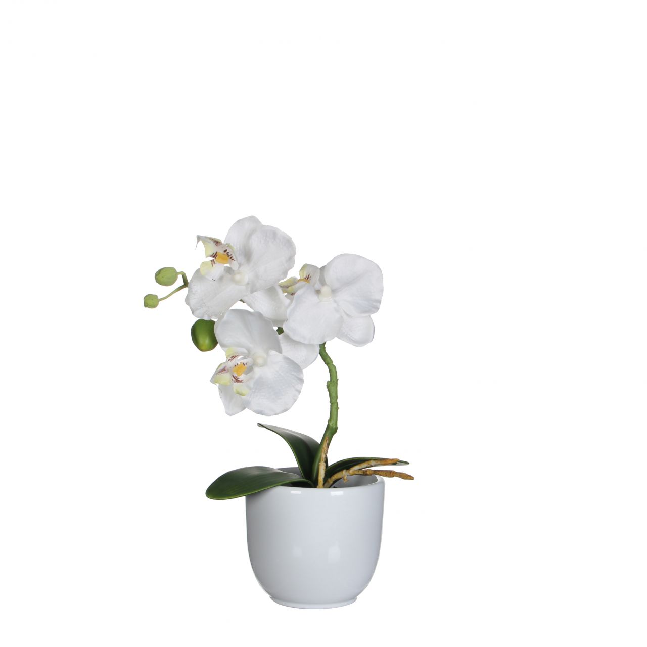 Mica Kunstpflanze Phalaenopsis im Topf weiß, 26 x 12 cm von Mica Decorations