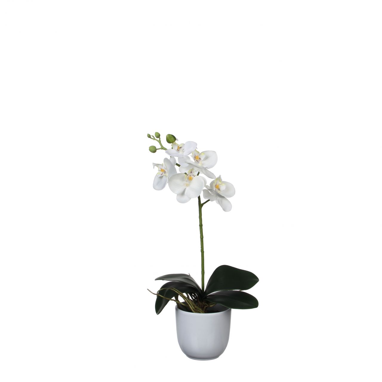 Mica Kunstpflanze Phalaenopsis im Topf weiß, 48 x13 cm von Mica Decorations