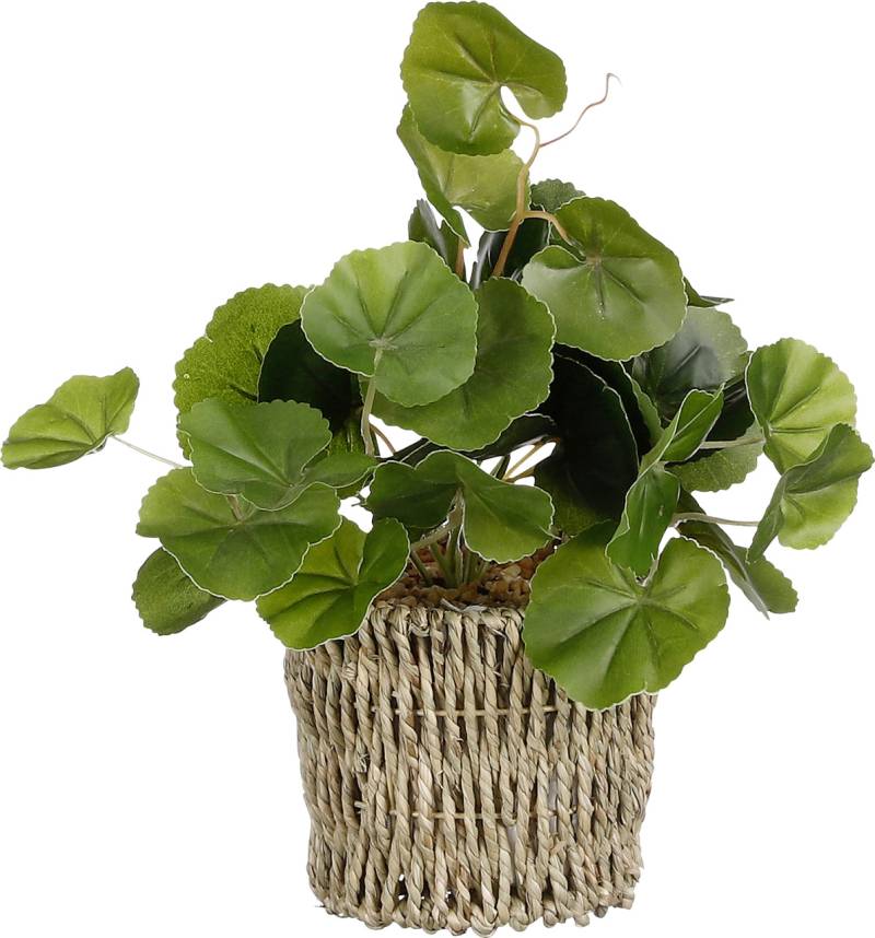 Mica Kunstpflanze Pilea im Korb grün 33 x 12 cm von Mica Decorations