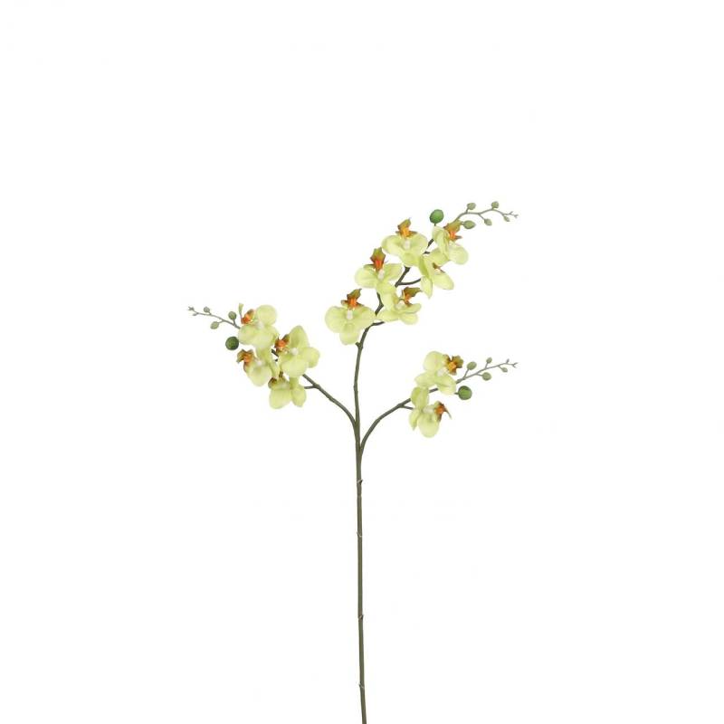 Mica künstliche Phalaenopsis grün, 75 cm Mica künstliche Phalaenopsis grün, 75 cm von Mica Decorations
