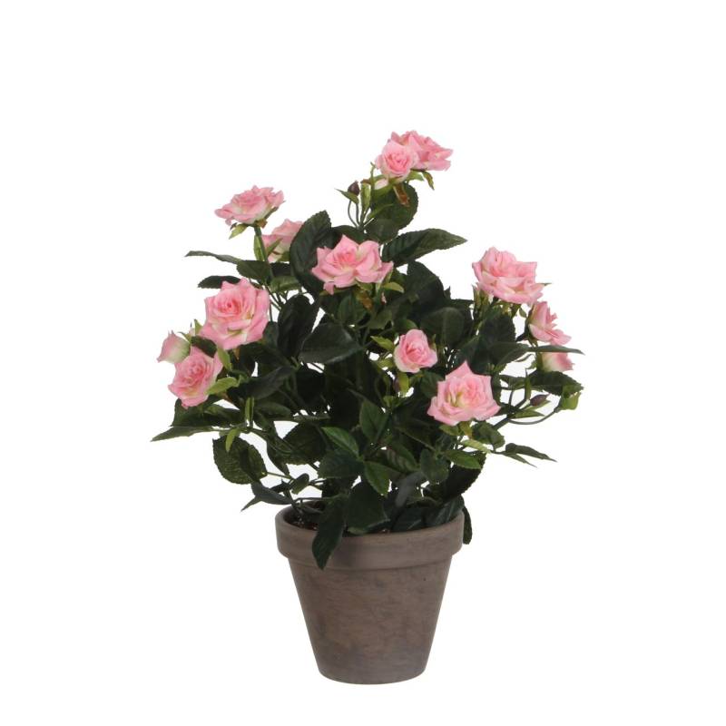 Mica künstlicher Rosenstrauch rosa im Blumentopf 33 x 25 cm von Mica Decorations