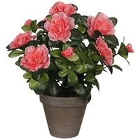 Künstliche Pfirsich Azalee im grauen Topf ø11,5cmx27xø20cm Künstliche Pfirsich Azalee im grauen Topf ø11,5cmx27xø20cm von Mica