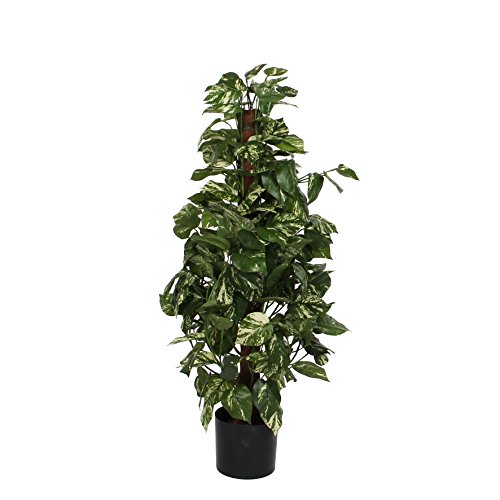 MICA Kunststofftopf Kunstpflanze Scindapsus, Polyester, grün, 45 x 45 x 110 cm, 2-Einheiten von MICA Decorations
