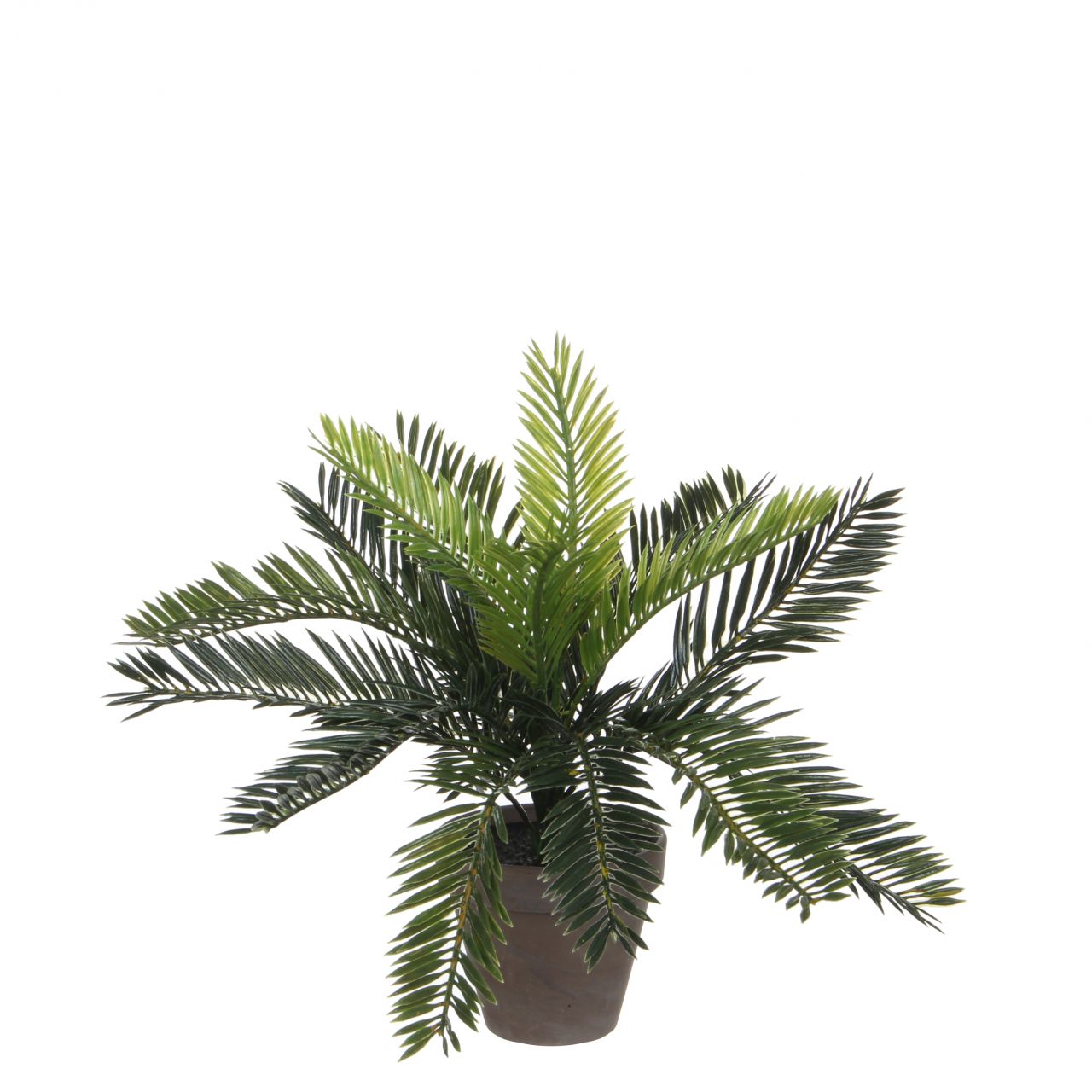 Mica Cycas Palme grün im Topf 33 x 34 cm von Mica Decorations