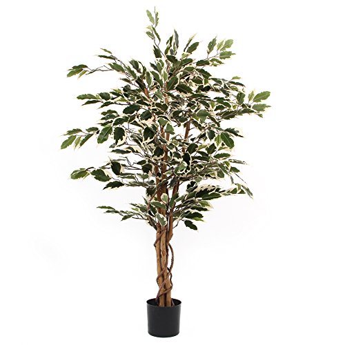 MICA Decorations Ficus Kunstpflanze - H110 x Ø70 cm - Grün bunt von MICA