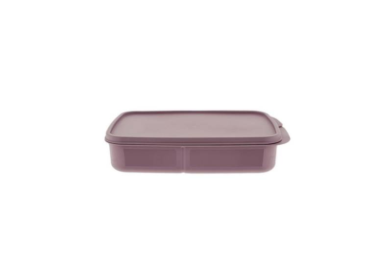 Michelino Vorratsdose mit Trennwand Brotdose – 1100 ml Frischhaltedose rechteckig, Kunststoff, (1-tlg) von Michelino