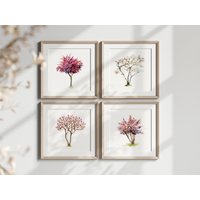 Weißer Und Rosa Baum Fine Art Prints 4Er Set Baumbilder Blühender Magnolienbaum Weißer Blütenbaum Innenkunst Frühlingskunst von MichelleDujardin