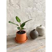 Neue Größe Verjüngt Mittel von MichikoShimada