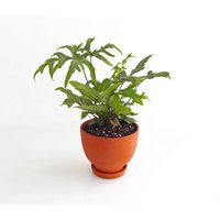 Pouf X Klein von MichikoShimada