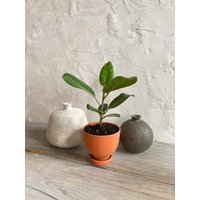 Sitzpouf Klein von MichikoShimada