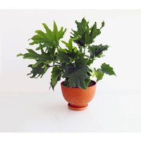 Sitzpouf Mittel von MichikoShimada