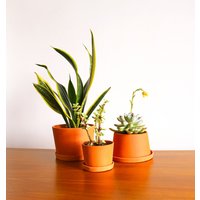 Terra-Cotta Mini Pflanzgefäße B Set von MichikoShimada