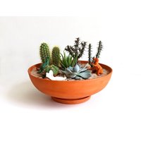 Terra-Cotta Pflanzgefäß Breit von MichikoShimada