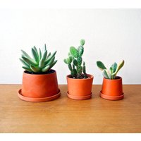 Terrakotta Mini-Blumentöpfe - Set 3Er von MichikoShimada
