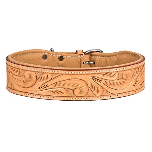 MICHUR Felipe Hundehalsband Leder, Lederhalsband Hund, Halsband, Leder, Caramel, Beige, 55 von MICHUR OUR WORLD OF PETS FINEST